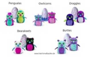 Free download Welche Hatchimals Arten Gibt Es free photo or picture to be edited with GIMP online image editor