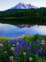 Free download Welcome to Khidwal Media free photo or picture to be edited with GIMP online image editor