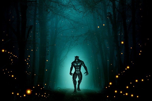 Free download Werewolf Forest Fireflies -  free illustration to be edited with GIMP free online image editor