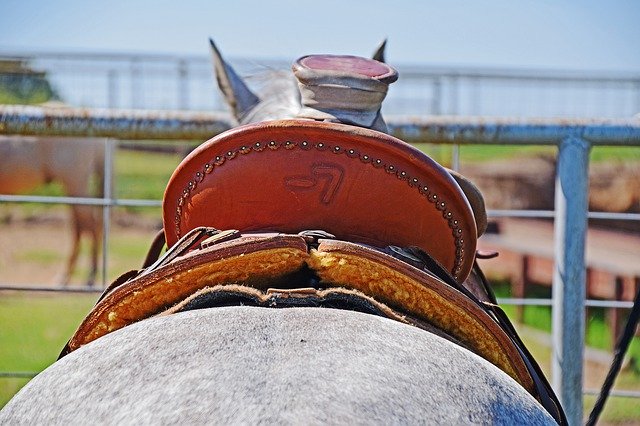 Descărcare gratuită Western Saddle Wade Ranch - fotografie sau imagini gratuite pentru a fi editate cu editorul de imagini online GIMP