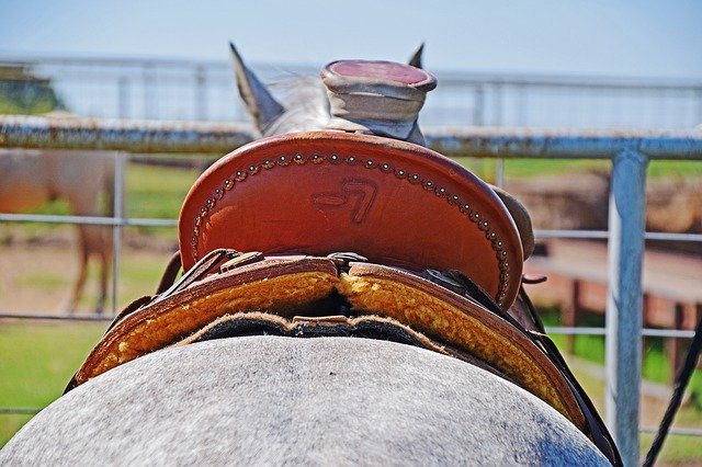 Bezpłatne pobieranie Western Saddle Wade Ranch - bezpłatne zdjęcie lub obraz do edycji za pomocą internetowego edytora obrazów GIMP