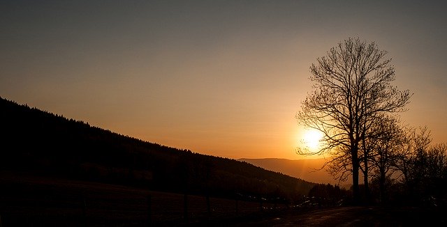 Descărcare gratuită West Sun Tree - fotografie sau imagini gratuite pentru a fi editate cu editorul de imagini online GIMP