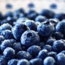 Wet blueberries  screen for extension Chrome web store in OffiDocs Chromium