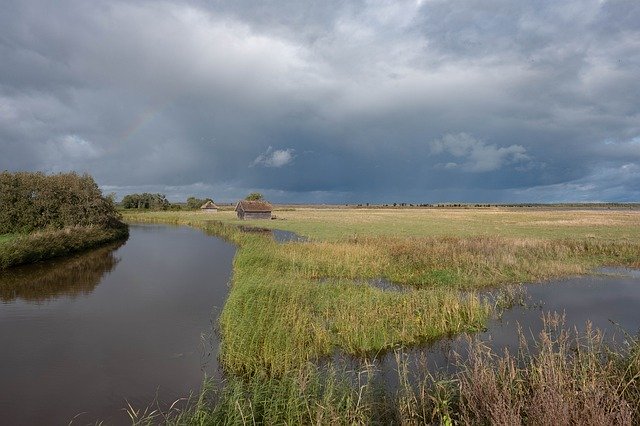 دانلود رایگان Wetlands Nature Swamp - عکس یا تصویر رایگان قابل ویرایش با ویرایشگر تصویر آنلاین GIMP