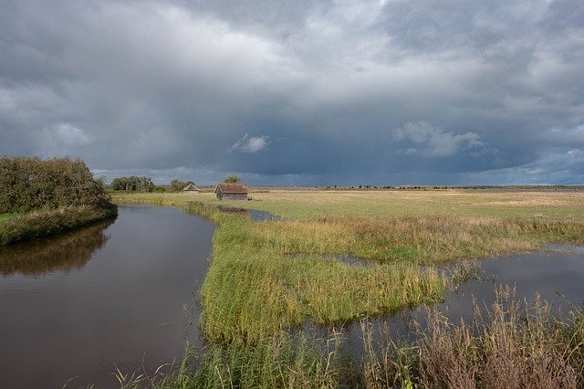 Gratis download Wetlands Nature Swamp - gratis foto of afbeelding om te bewerken met GIMP online afbeeldingseditor