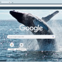 Whale  screen for extension Chrome web store in OffiDocs Chromium
