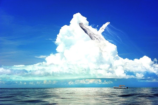 Free download Whale Sea Sky -  free illustration to be edited with GIMP free online image editor