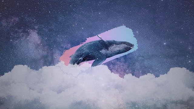 Unduh gratis ilustrasi gratis Whale The Universe Cloud untuk diedit dengan editor gambar online GIMP