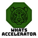 whats Accelerator  screen for extension Chrome web store in OffiDocs Chromium