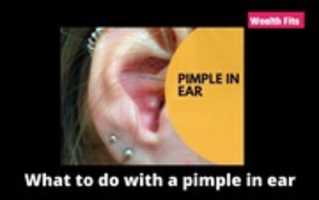 Free download What To Do With A Pimple In Ear free photo or picture to be edited with GIMP online image editor