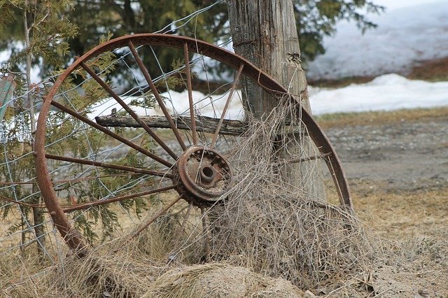 Безкоштовно завантажте Wheel Field Old - безкоштовну фотографію чи зображення для редагування за допомогою онлайн-редактора зображень GIMP