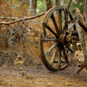 Wheel of time  screen for extension Chrome web store in OffiDocs Chromium