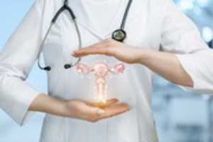 Free download When should a woman start seeing a gynecologist? free photo or picture to be edited with GIMP online image editor