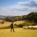 When the sheep went up the mountain  screen for extension Chrome web store in OffiDocs Chromium