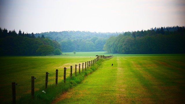 Téléchargement gratuit de Whey Meadow Landscape - photo ou image gratuite à éditer avec l'éditeur d'images en ligne GIMP