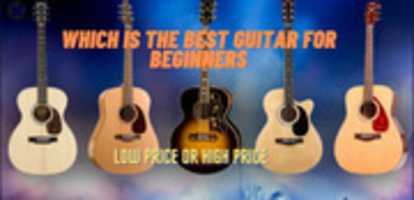 Free download Which Is The Best Guitar For Beginners free photo or picture to be edited with GIMP online image editor