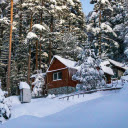 Whispers Forest  screen for extension Chrome web store in OffiDocs Chromium