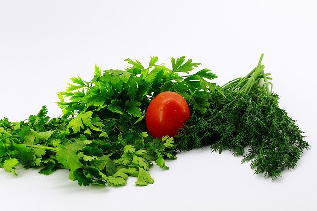 Free download White Background Greens Parsley -  free photo or picture to be edited with GIMP online image editor