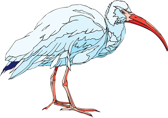 Téléchargement gratuit Oiseau Blanc Ailes - Images vectorielles gratuites sur Pixabay illustration gratuite à éditer avec l'éditeur d'images en ligne gratuit GIMP