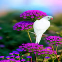 White dove wallpaper  screen for extension Chrome web store in OffiDocs Chromium