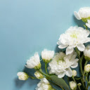 White Flower Branch  screen for extension Chrome web store in OffiDocs Chromium