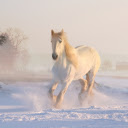 White Horse Snow  screen for extension Chrome web store in OffiDocs Chromium