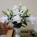 white lily vase wallpaper  screen for extension Chrome web store in OffiDocs Chromium