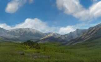 Free download White Lion Territory free photo or picture to be edited with GIMP online image editor