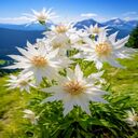 white meteor wallpaper  screen for extension Chrome web store in OffiDocs Chromium