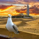 White necked pigeon  screen for extension Chrome web store in OffiDocs Chromium