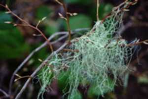 Free download White Pass 4 285 free photo or picture to be edited with GIMP online image editor