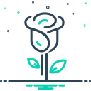 White Rose Elegance  screen for extension Chrome web store in OffiDocs Chromium