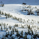 White Snow and Green Trees  screen for extension Chrome web store in OffiDocs Chromium