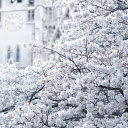 White snowflakes  screen for extension Chrome web store in OffiDocs Chromium