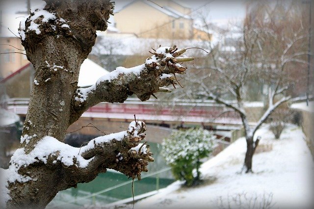 Téléchargement gratuit de White Snow Winter - photo ou image gratuite à modifier avec l'éditeur d'images en ligne GIMP