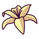 White Water Lily Bloom  screen for extension Chrome web store in OffiDocs Chromium