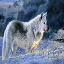 White Wolf Theme  screen for extension Chrome web store in OffiDocs Chromium