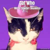 Free download Who Cat Cowgirl Cat free photo or picture to be edited with GIMP online image editor