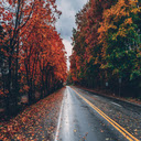 Wide Angle Photo Of Road  screen for extension Chrome web store in OffiDocs Chromium