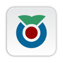 Wiktionary Translator  screen for extension Chrome web store in OffiDocs Chromium