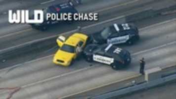 Free download Wild Chase Wall 1 free photo or picture to be edited with GIMP online image editor