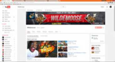 Free download Wildemoose 12/31/15 free photo or picture to be edited with GIMP online image editor