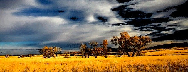 Free download Wild Grass Nature -  free illustration to be edited with GIMP free online image editor