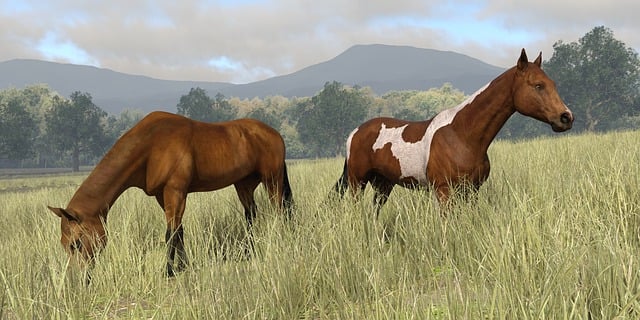 Free download wild horses pasture grazing free picture to be edited with GIMP free online image editor