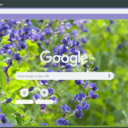 Wild Indigo  screen for extension Chrome web store in OffiDocs Chromium