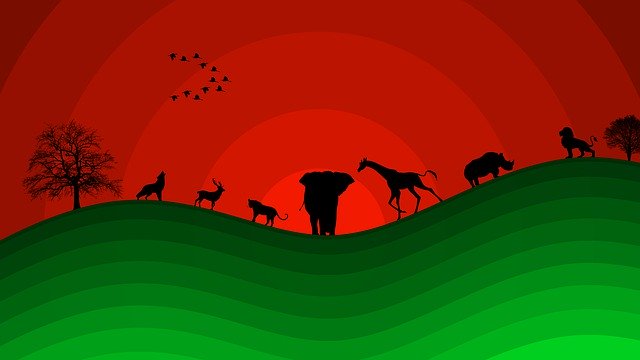 Free download Wildlife Sunset Landscape -  free illustration to be edited with GIMP free online image editor
