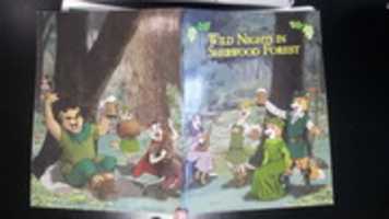 Free download Wild Nights 2014 Conbook free photo or picture to be edited with GIMP online image editor