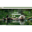 wild otter  screen for extension Chrome web store in OffiDocs Chromium