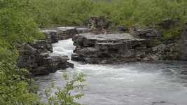 Free download Wild River National Park Sweden -  free video to be edited with OpenShot online video editor