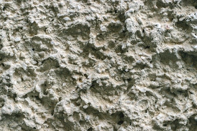 Free download Wild Wall Plaster White -  free photo or picture to be edited with GIMP online image editor